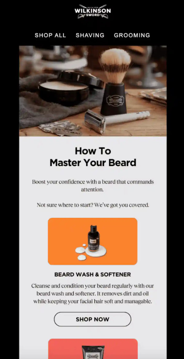 Wilkinson Sword + Gravytrain CRM Email campaign with content around how to master your beard